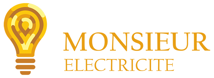 Electricien Sarlat Montignac Le Bugue - Monsieur Electricite - Logo
